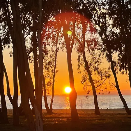 Villa Luxury Turquoise Road To Villasimius 50 M From The Sea Iun S0573 *
